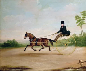 Estudio de un caballero en un carruaje